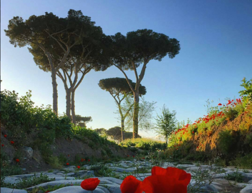 a slave in OSTIA ANTICA